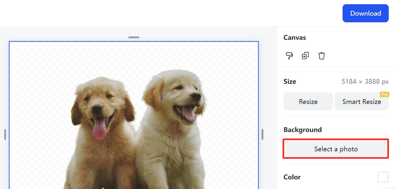 Interface showing the option for custom background upload on a puppy photo.