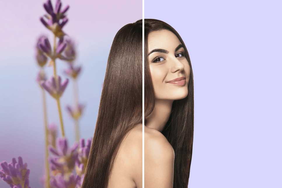 Enhance Your Designs with Light Purple Background Generator