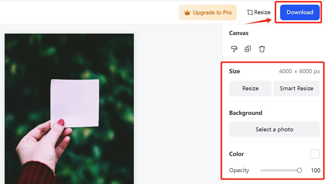 Guide on How to Easily Remove Text from Photos | insMind